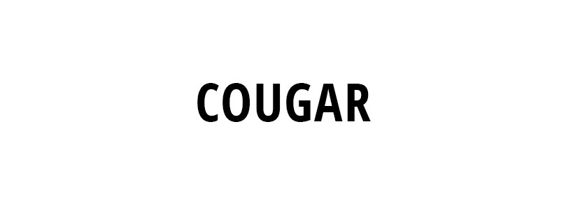 COUGAR ACCESSORIES